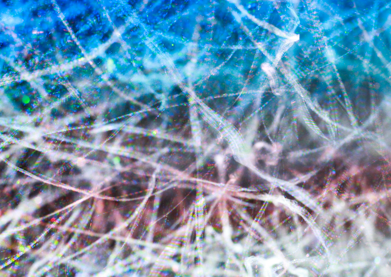 Illustration for article titled Así de espectacular es una tormenta de nieve iluminada por un proyector